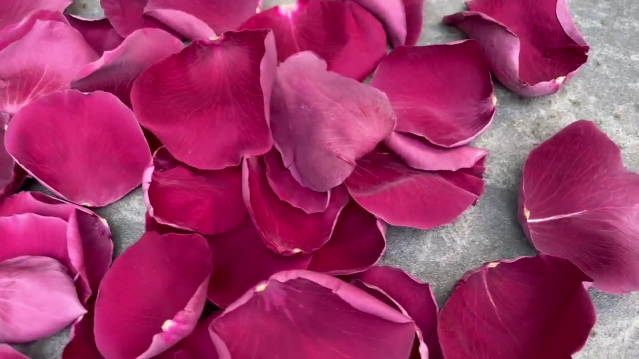 Burgundy Dried Rose Petals Luxury Biodegradable Rose Petal 