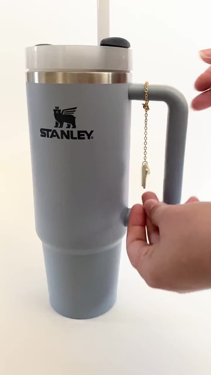 Stanley Tumbler Cup Charm Accessories for Water Bottle Stanley Cup Tumbler  Handle Charm Stanley Accessories Gift for Dentist Tooth Charm 