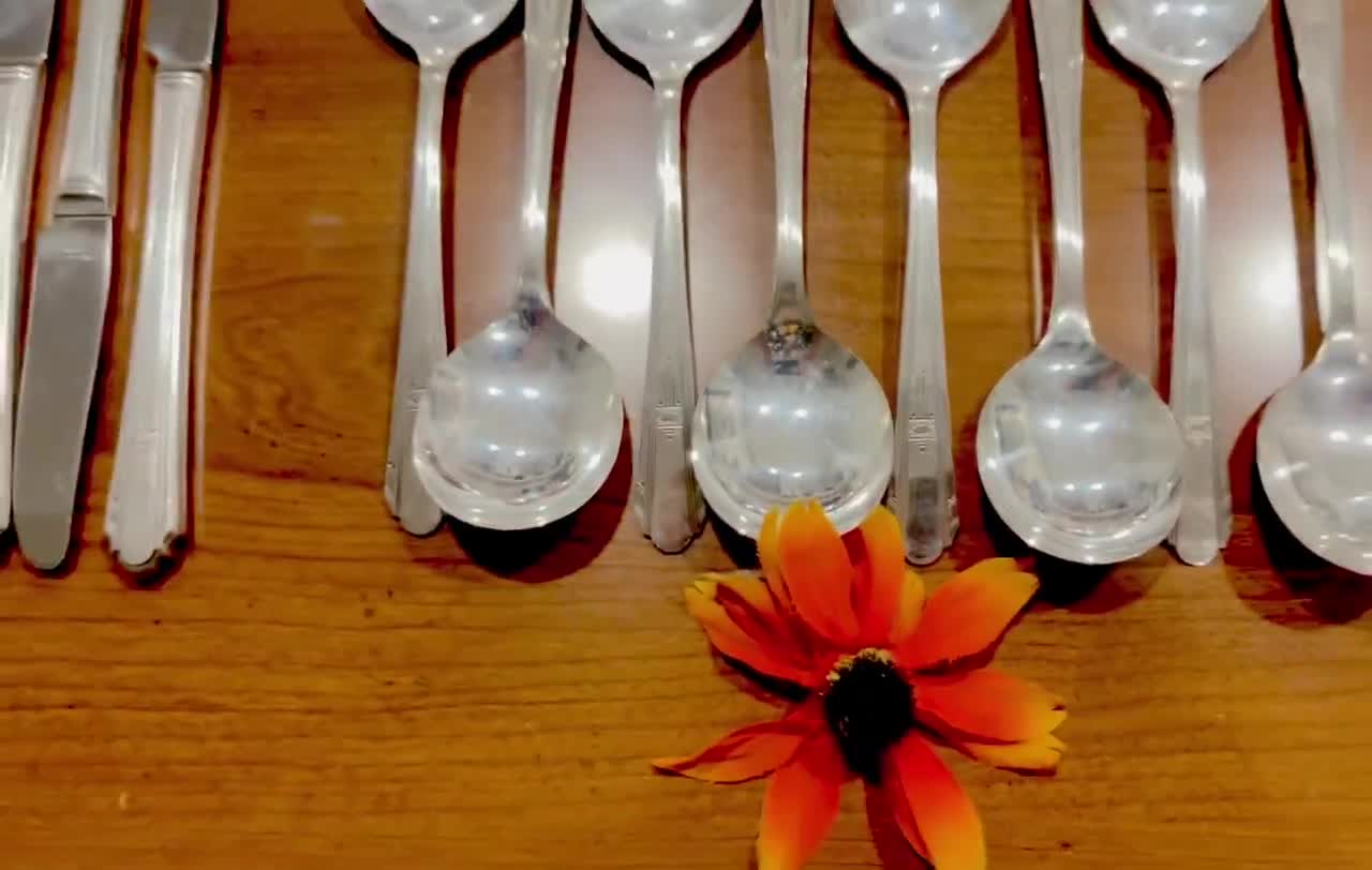 Oneida WM. Rogers Vintage Silverplate Flatware Set of 50
