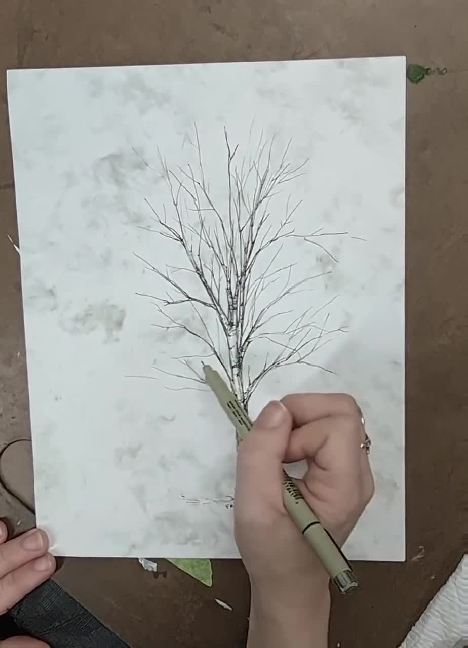 Tree Branch 4-Original Colored Pencil Drawing (8x10 mat included) — Jen's  Art Shop