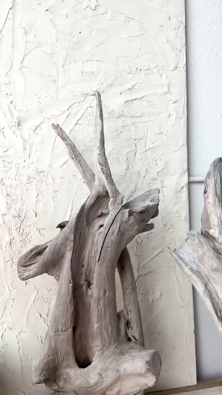 Driftwood Teak Root Sculpture on Stand X-large 30” - Etsy