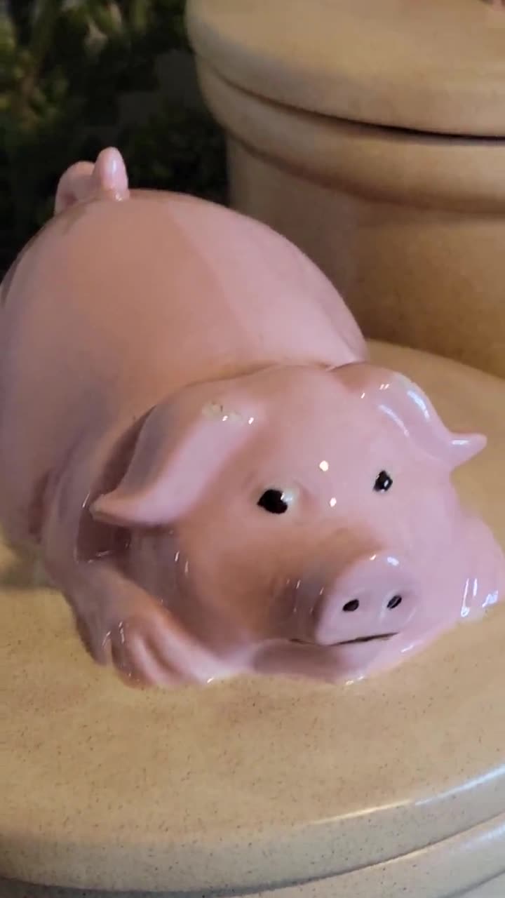 Spring Pig Cookie jar 2024 Canister by Corner ruby.