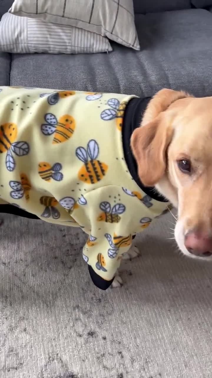 Dog Clothing Warm Dog Pajamas Large Dog Pjs Yellow Bumble Bee 