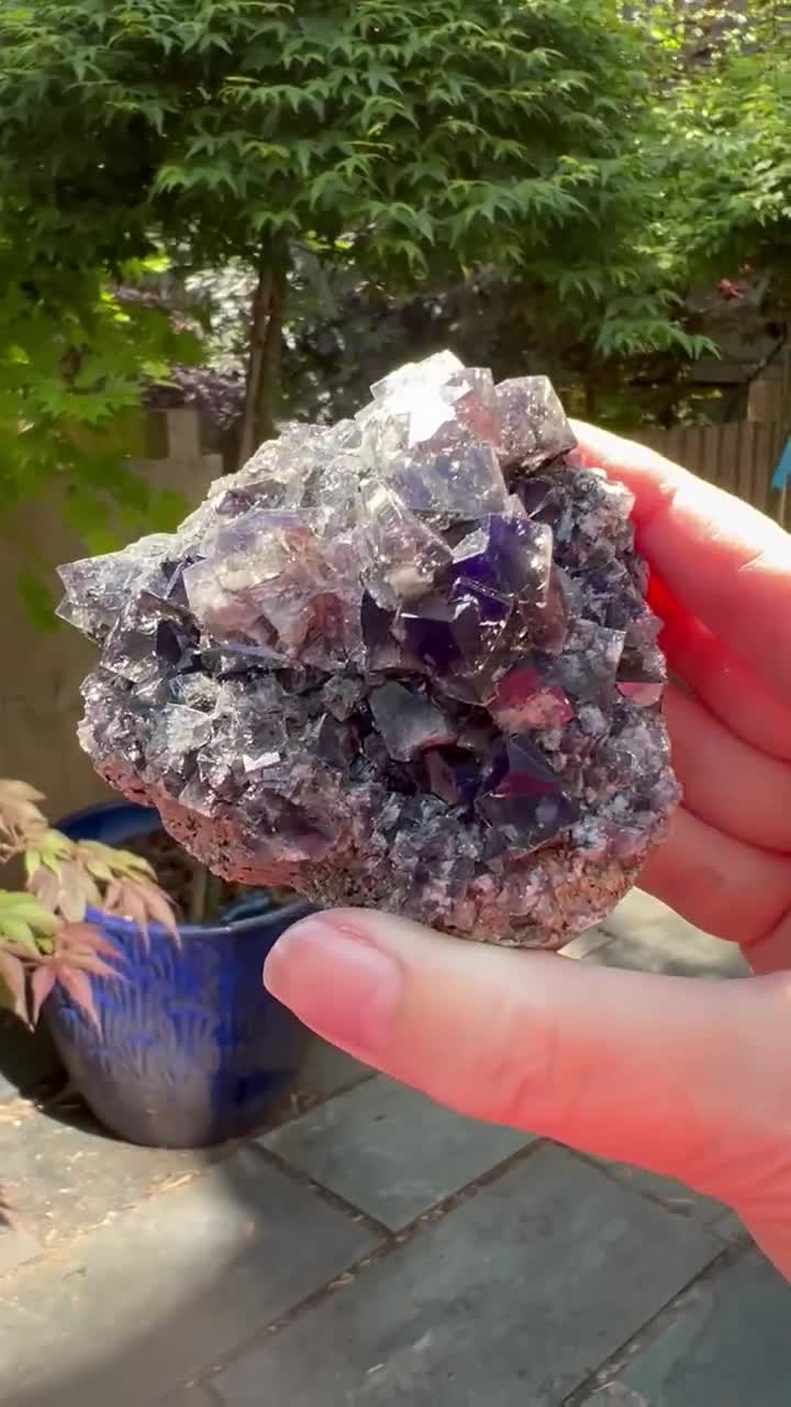 Diana Maria Mine Smoky Rabbit Pocket Fluorite Cluster UV