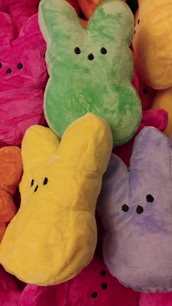 Personalized Peeps Plush, Customized Easter Plush Gifts, Easter Bunny –  NavAna Printing Services