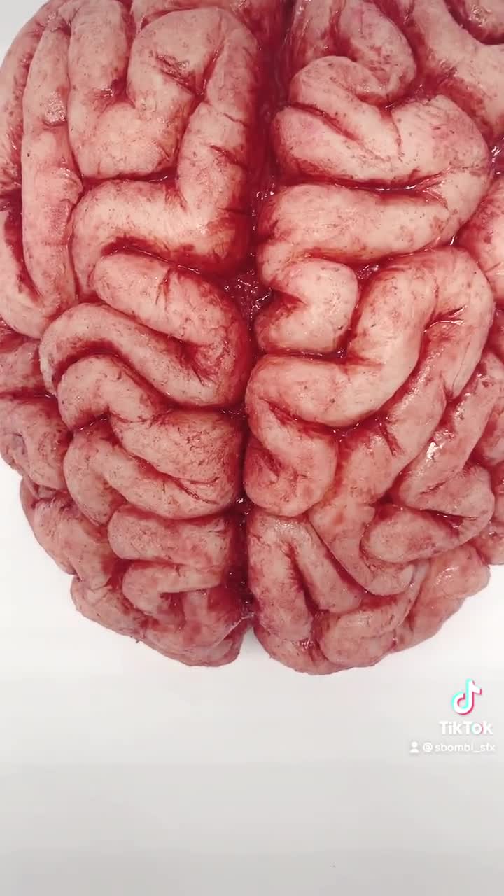 Cerebro humano realista / cerebro humano realista