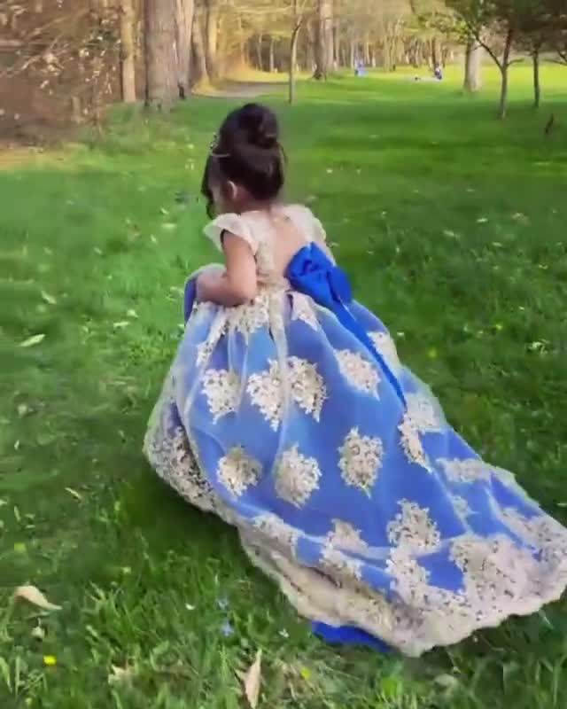  Princess gown royal blue and golden lace dress high