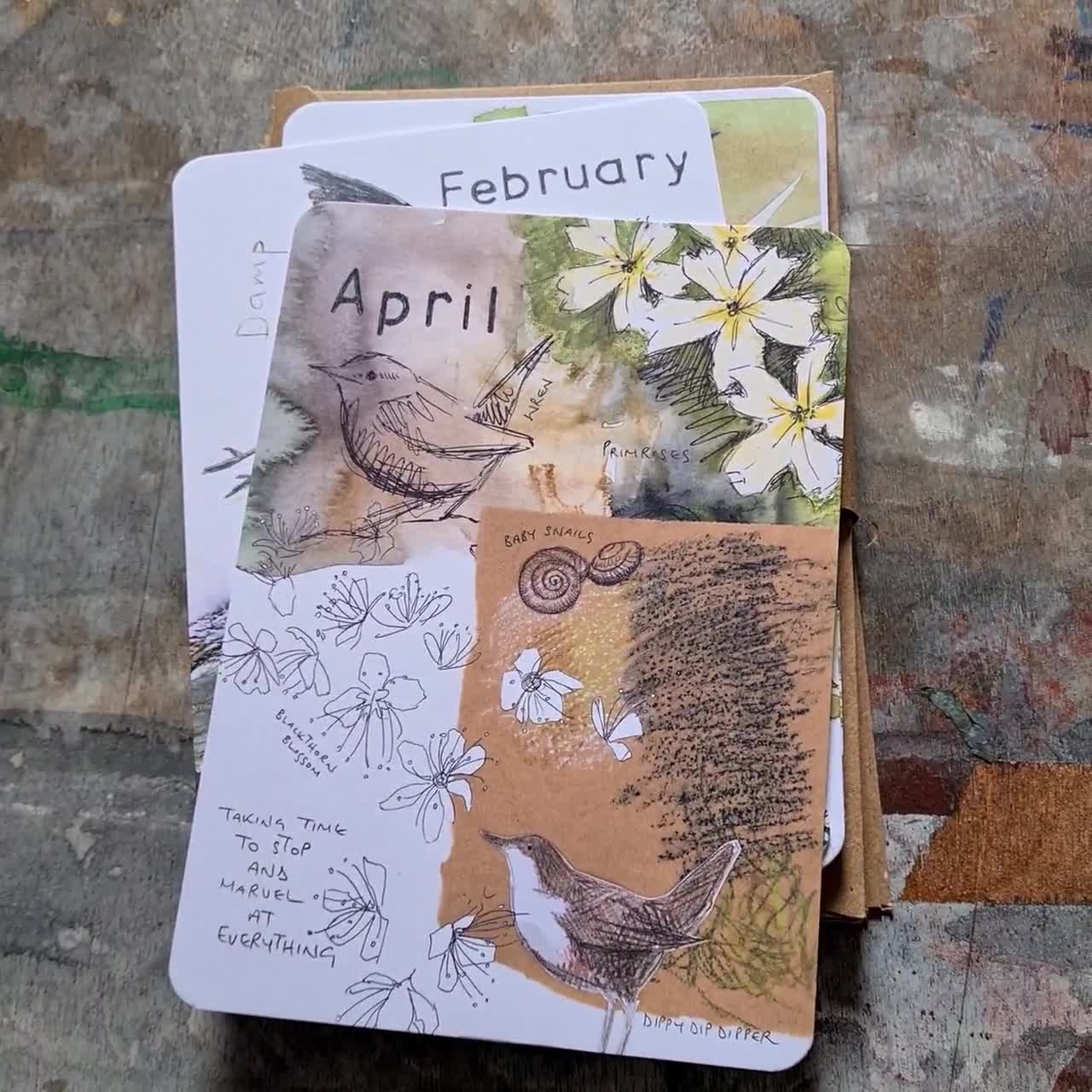 Postales de vida silvestre "Meses salvajes 2026": Año natural, sobres Kraft video poster