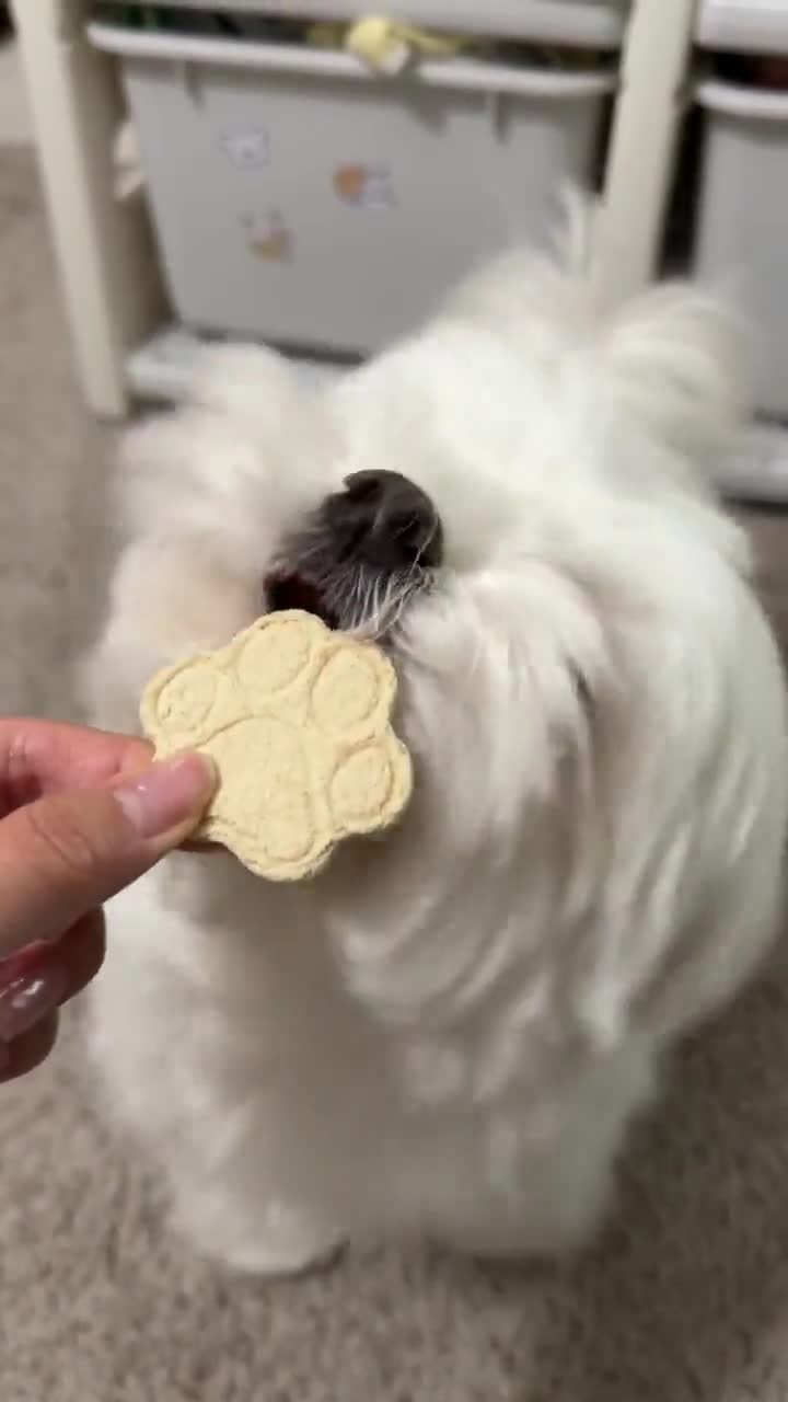 Homemade, Natural & Healthy Treats for Picky Dogs - Crunchy Chicken Goat Cheese Cookies (2oz) video poster