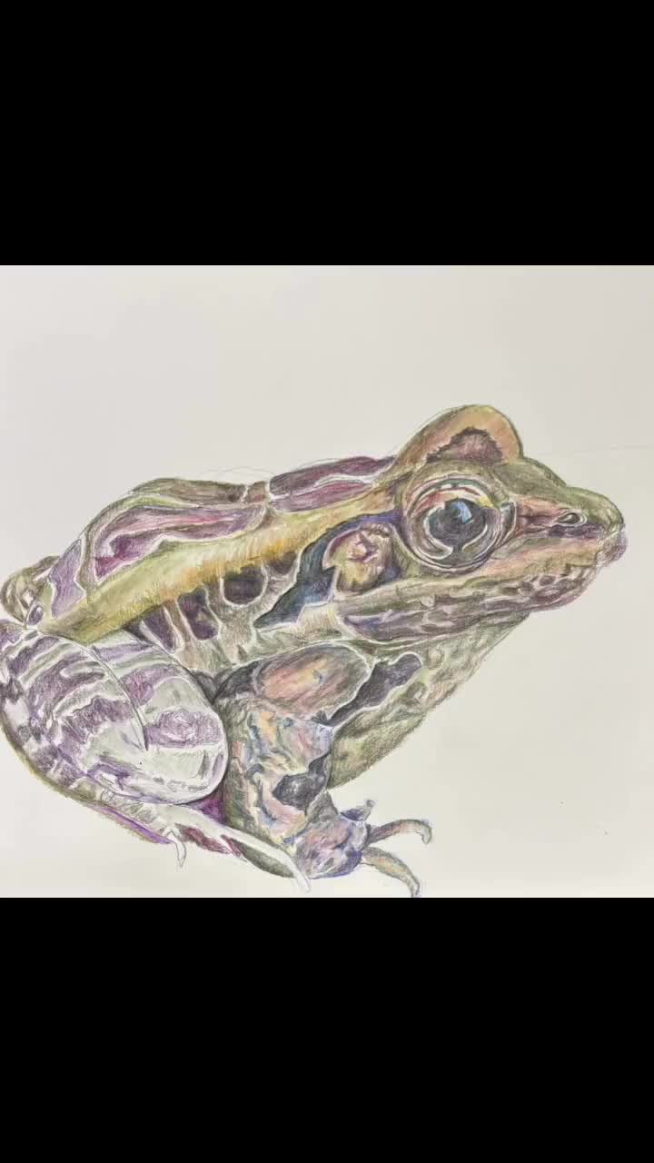 カラフルなカエルのウォールアート：鮮やかな両生類の水彩画プリント