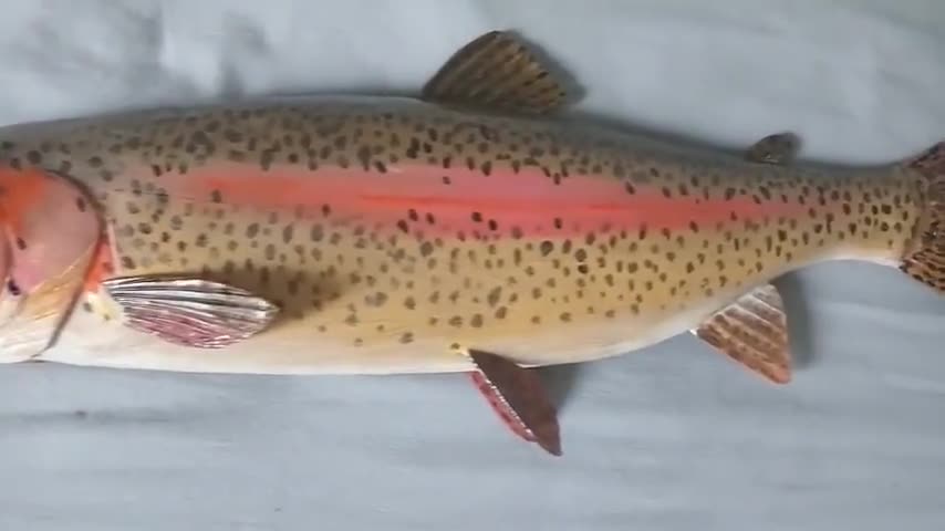 ニジマス、Oncorhynchus mykiss、17〜21インチの3D壁掛け木製魚、片面
