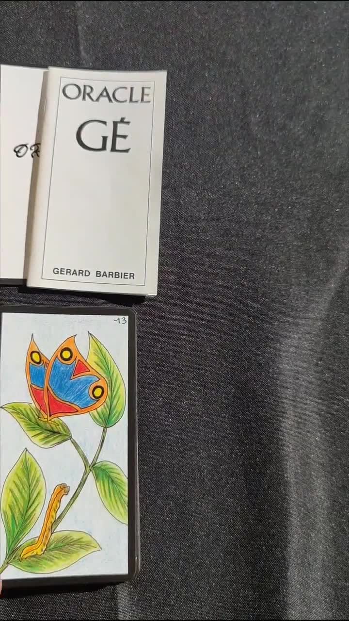 Oracle Gé - 1991 - Grimaud - Gérard Barbier - Complete + Box + Booklet