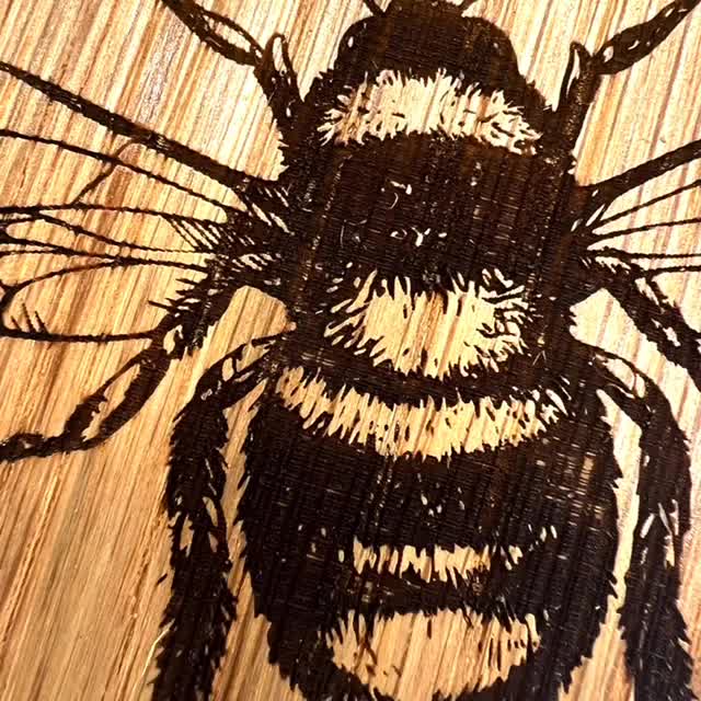 Set Sottobicchieri A Forma Di Ape E Nido D'Ape - Decorazione Originale Per Casa E Regalo Per Gli Amanti Della Natura