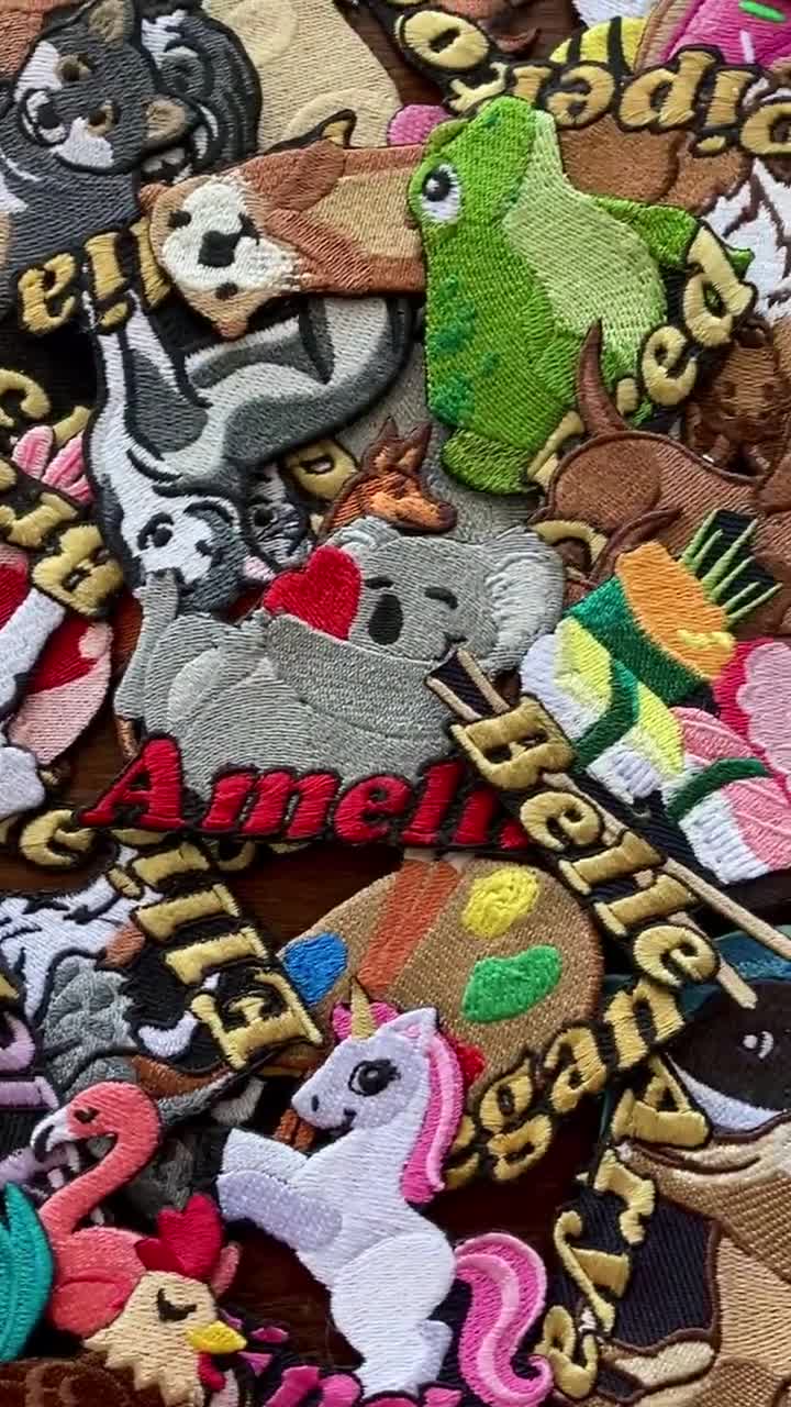 Gato Americano De Pelo Corto Negro