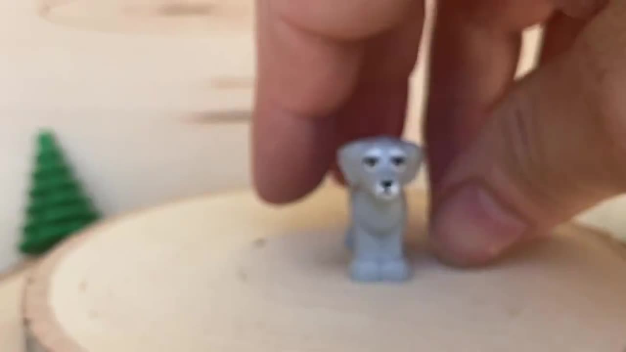 Light Bluish Gray Dog With Shaggy Fur, Ears, and Tail With Medium