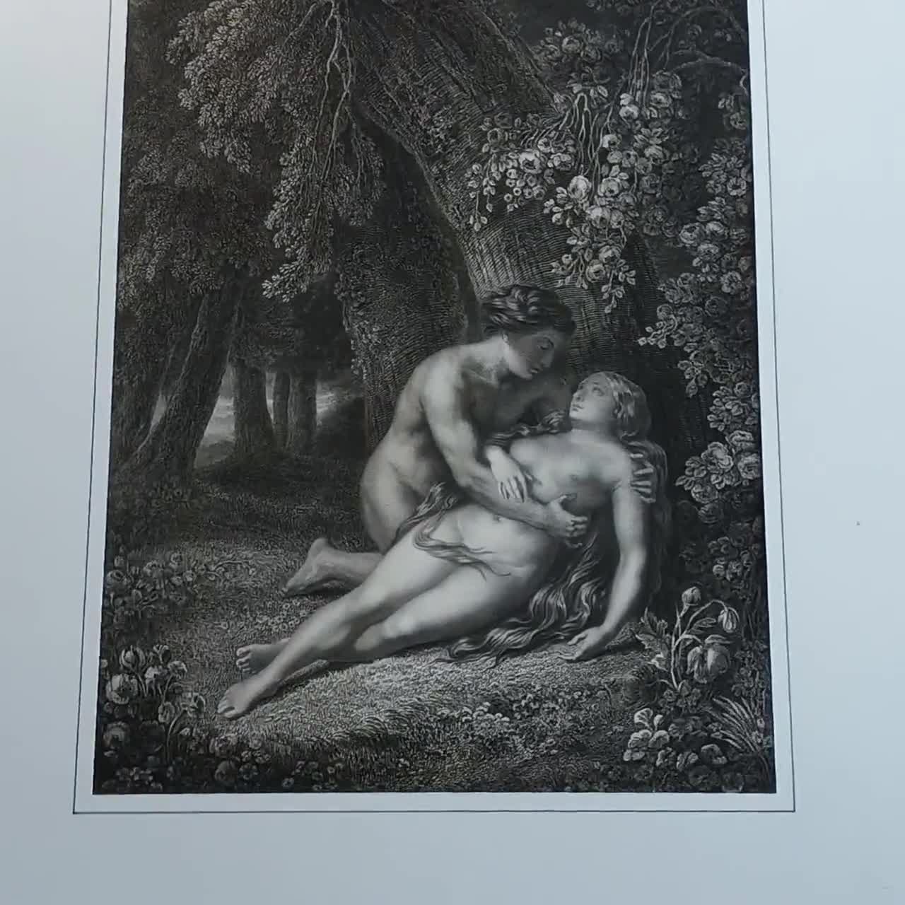 19th C. Etching Eden Garden Eve Awakening Mikton - Etsy Hong Kong