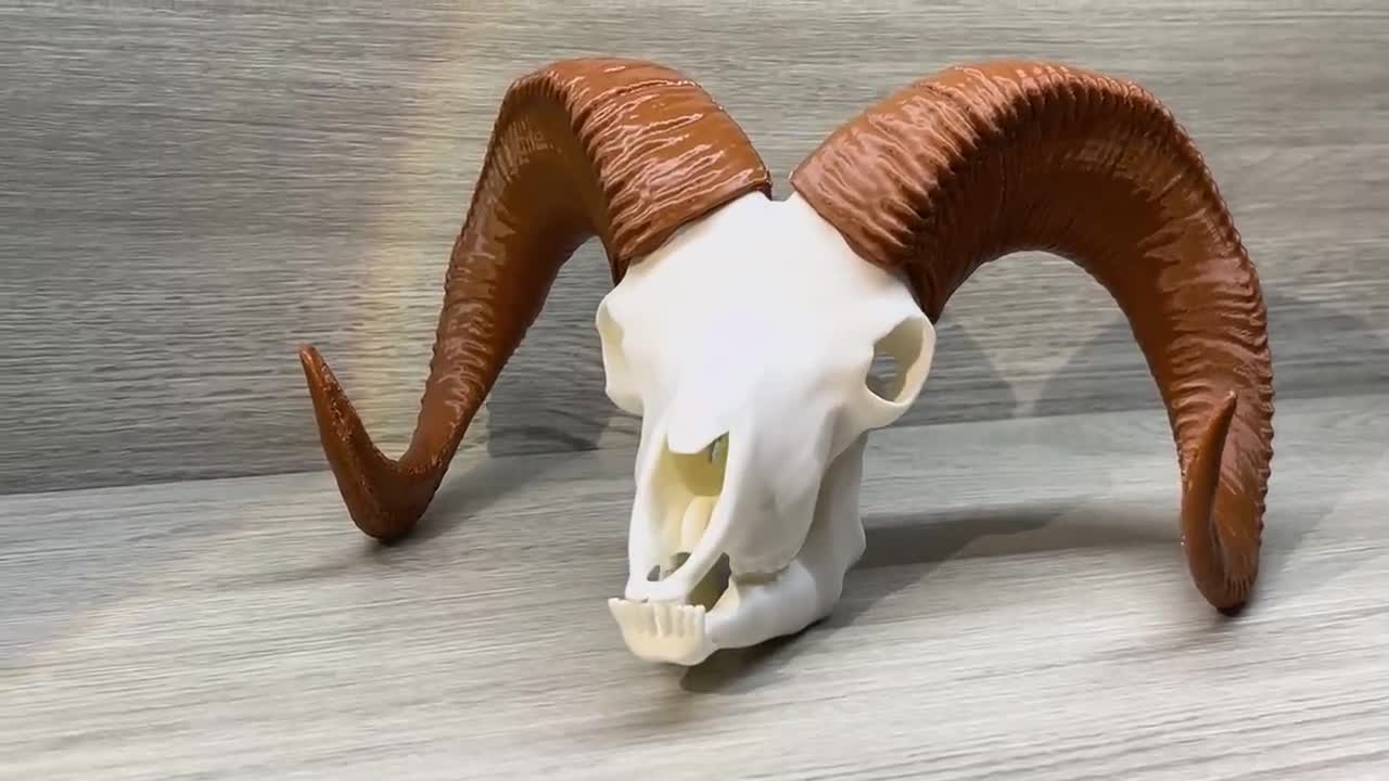 3D Printed Bighorn Sheep Skull Replica: Gothic Altar Decor - Etsy