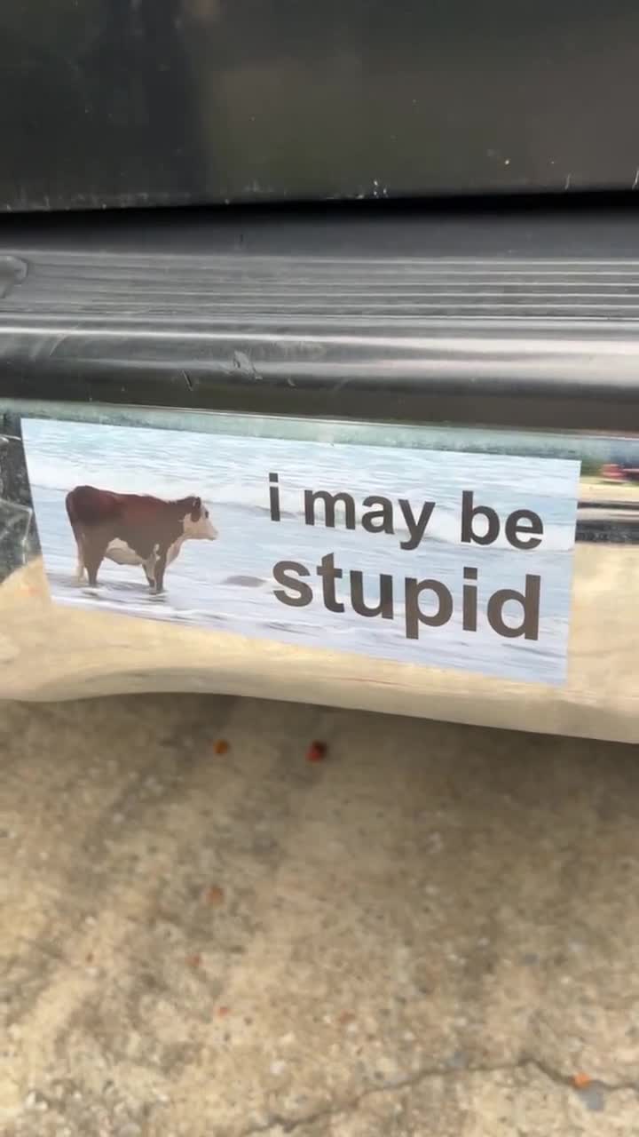 Impeach Biden Bumper Sticker Made In USA Exclusive Anti Biden - Foto 14