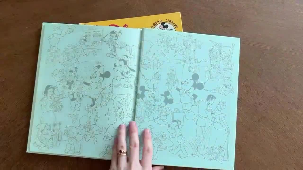 【DISNEYNA】Walt Disney Collections 洋書 81ZI2+-GE0L._AC_UF1000,