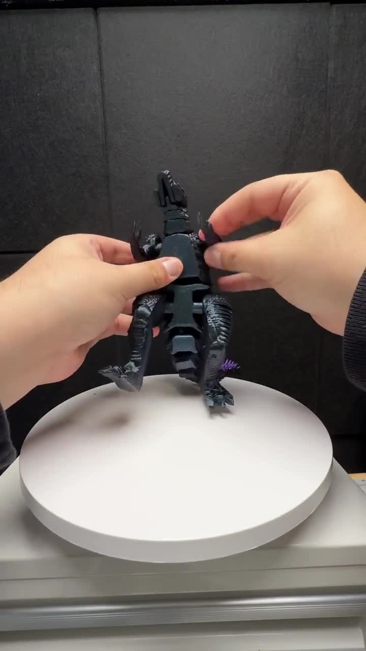 コルトモルテド　プリシラ　ブラック コルトモルテド プリシラ ブラック