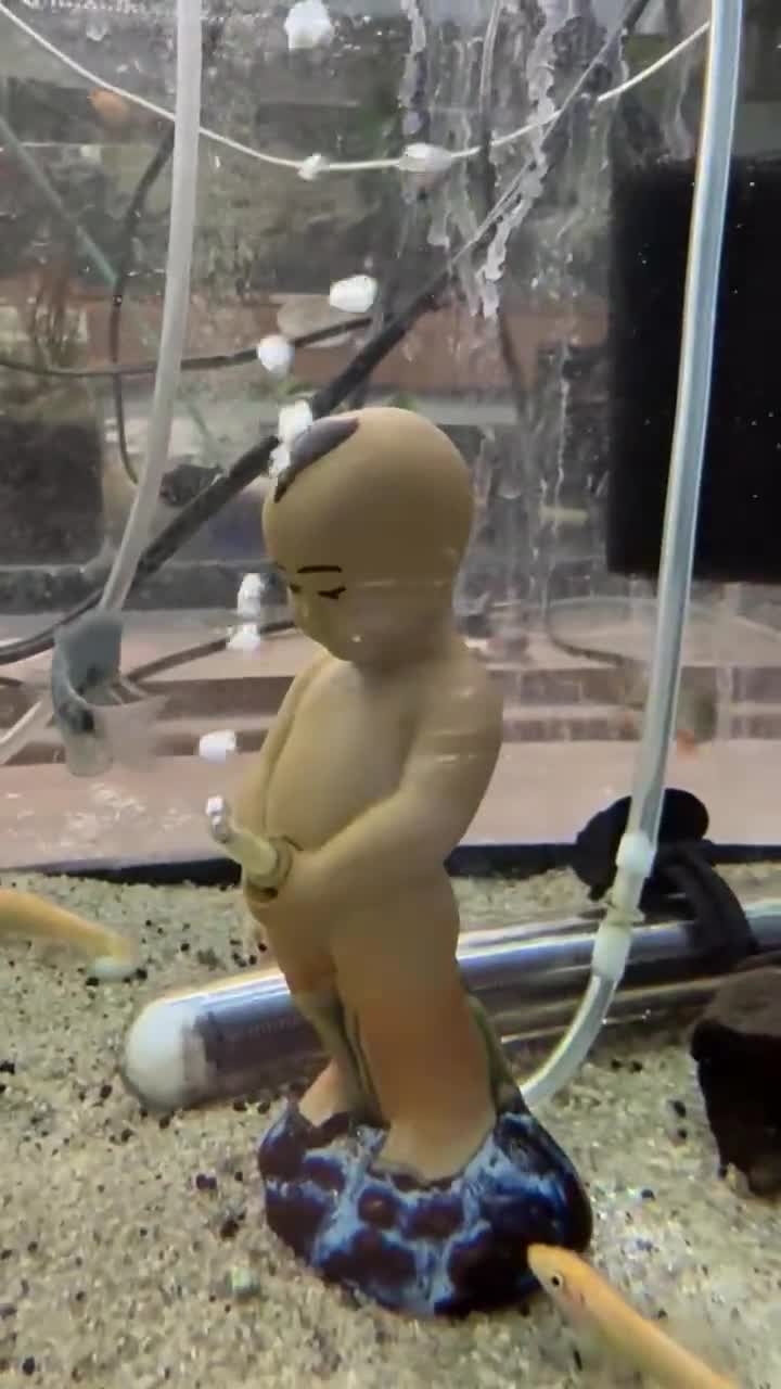 Pee Pee Boy Aquarium Decor & Aerator Device - Fish Tank Aquarium