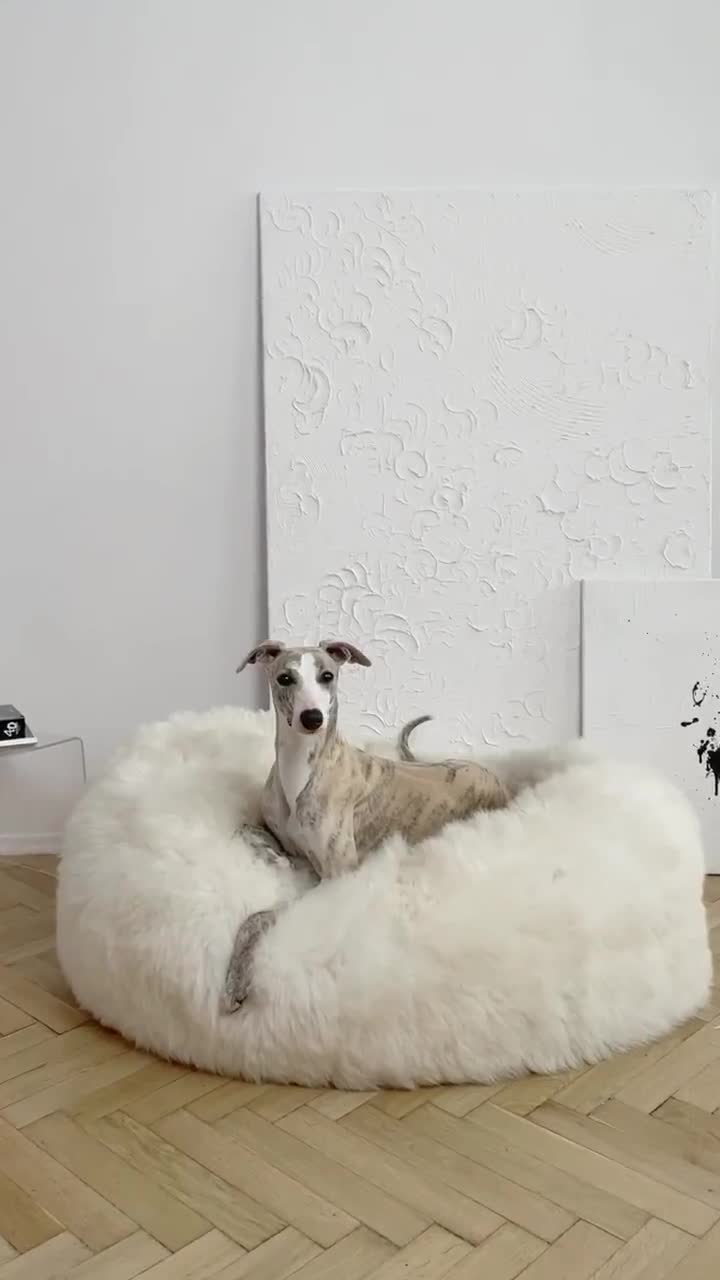 White Oval Luxurious Natural Sheepskin Pet Bed Sheepskin Dog Bed