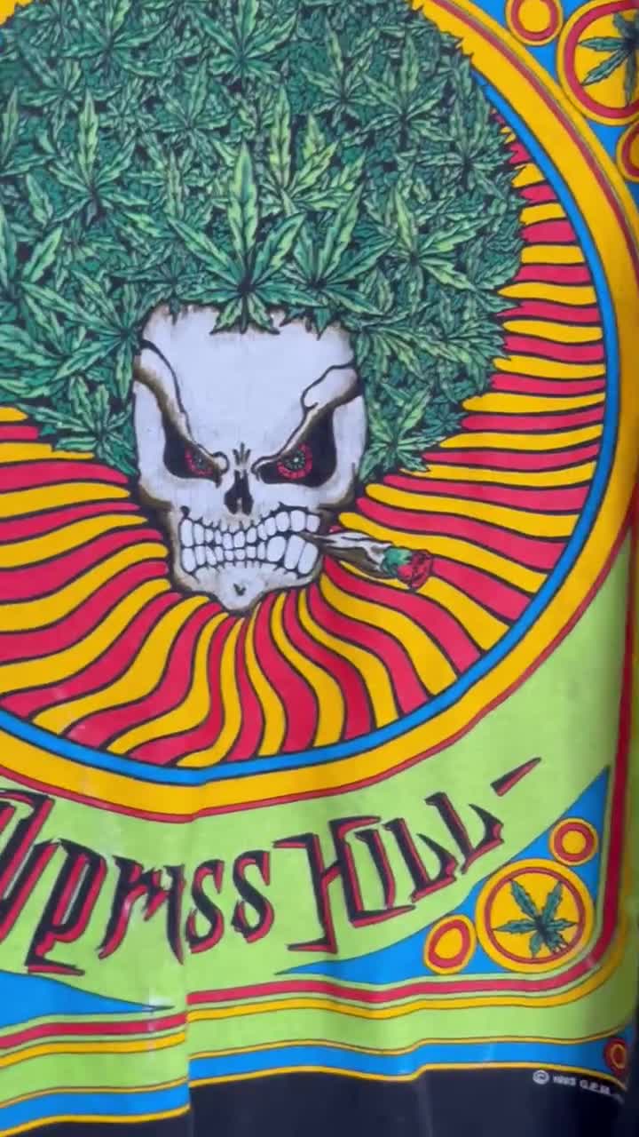Vintage 1993 Cypress Hill Skull “step Into A Whole New Realm” Gem