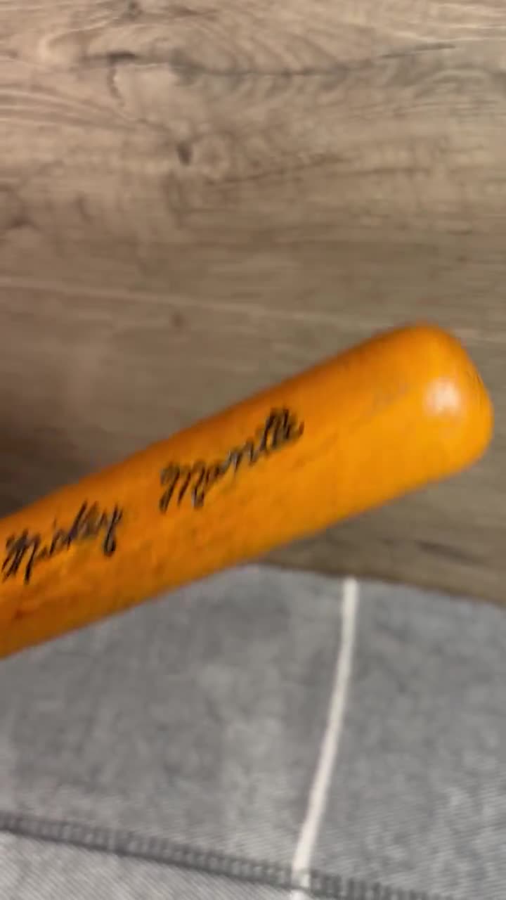 Mazza Da Cricket In Miniatura Autografata – ND Sports, 15 Pollici, Oggetto Da Collezione, Regno Unito