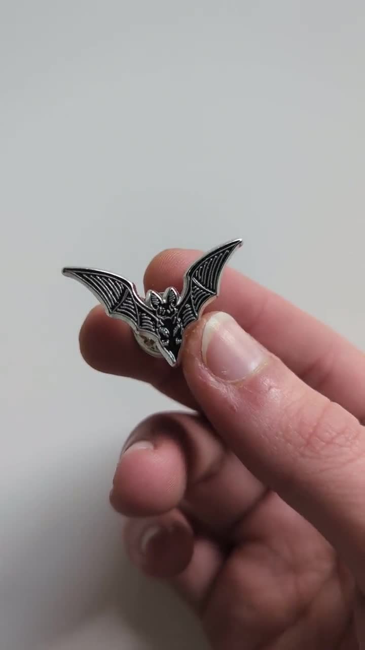 Tour Della Volpe Volante: I Pipistrelli Più Grandi D'Australia - Foto 2