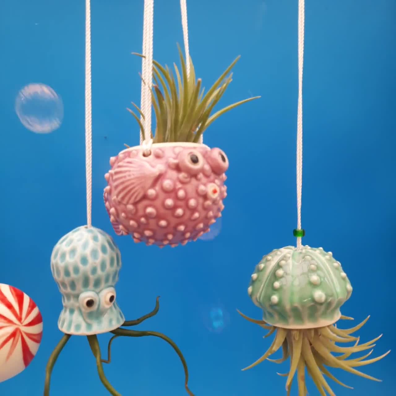 Octopus Garden, 4 Small Hanging Air Planters, Squid Air Planter, Octopus Air Planter, Jellyfish newest Planter, Nautilus Planter, Ocean Lover