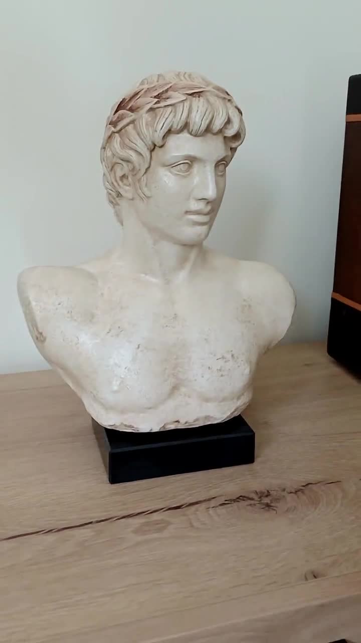 アポロンの胸像 ギリシャ神 石膏彫刻 古代ギリシャ 音楽と太陽の神