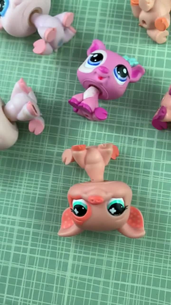 Authentic Hasbro LPS Pig - Littlest Pet Shop Toy, Your Choice - Etsy