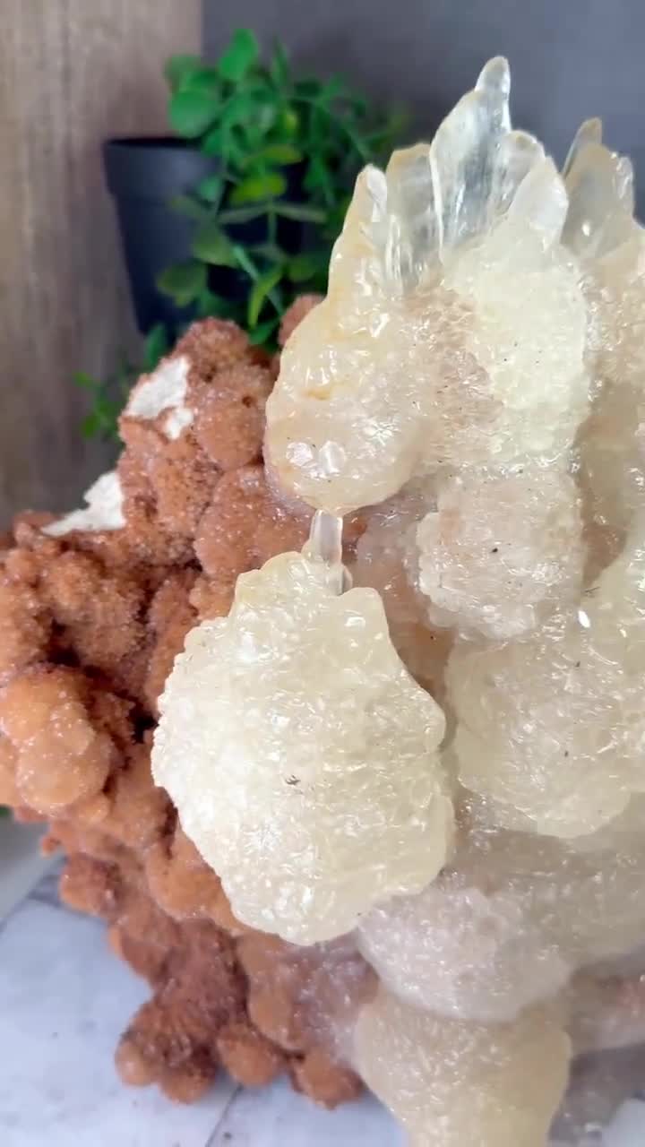 インドネシア、西ジャワ産の洞窟方解石: XLC 特大キャビネット