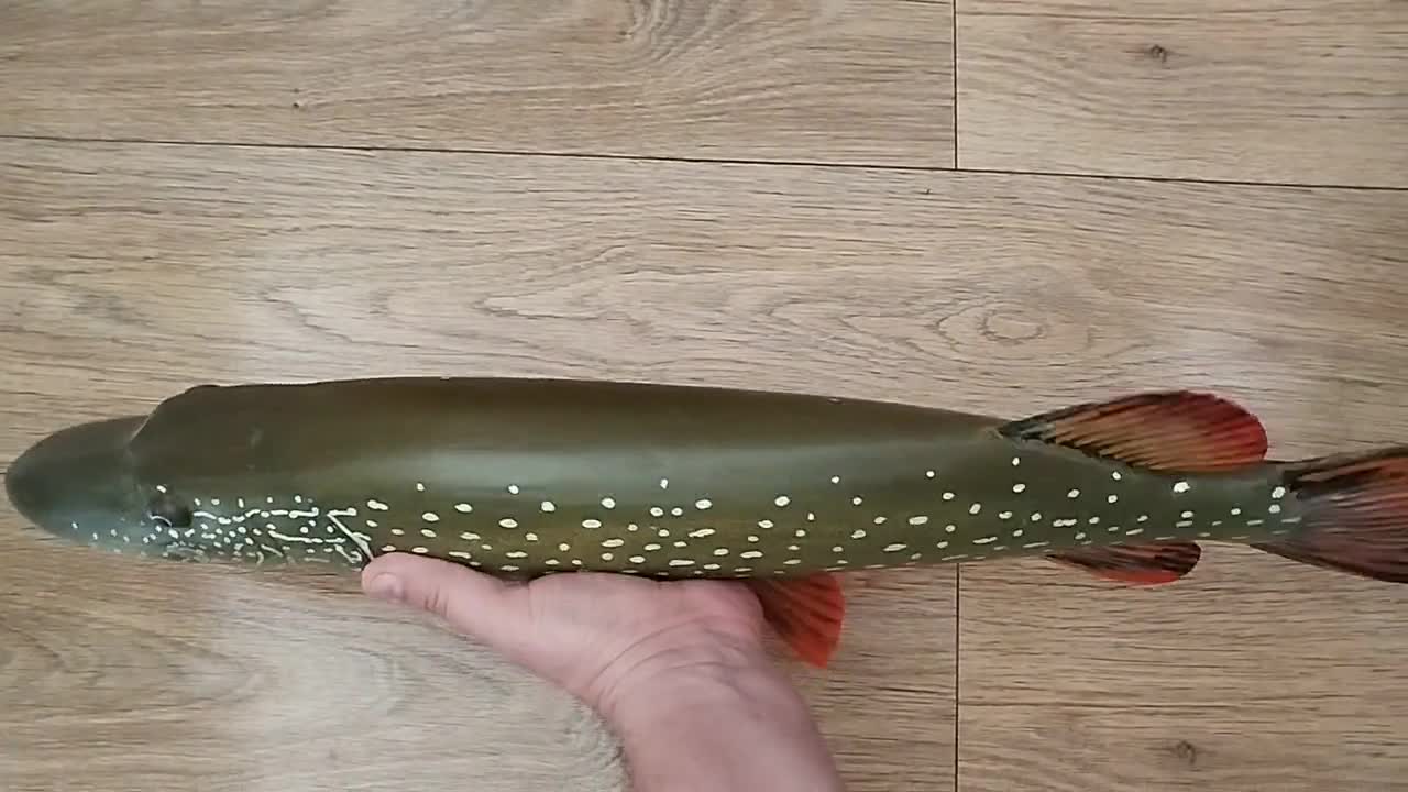 □美術品□Blue・ Esox Lucius□２３cm◇ Copen◇ Northern Pike, Esox Lucius, Pike, 31-35 Inches 3D Wall