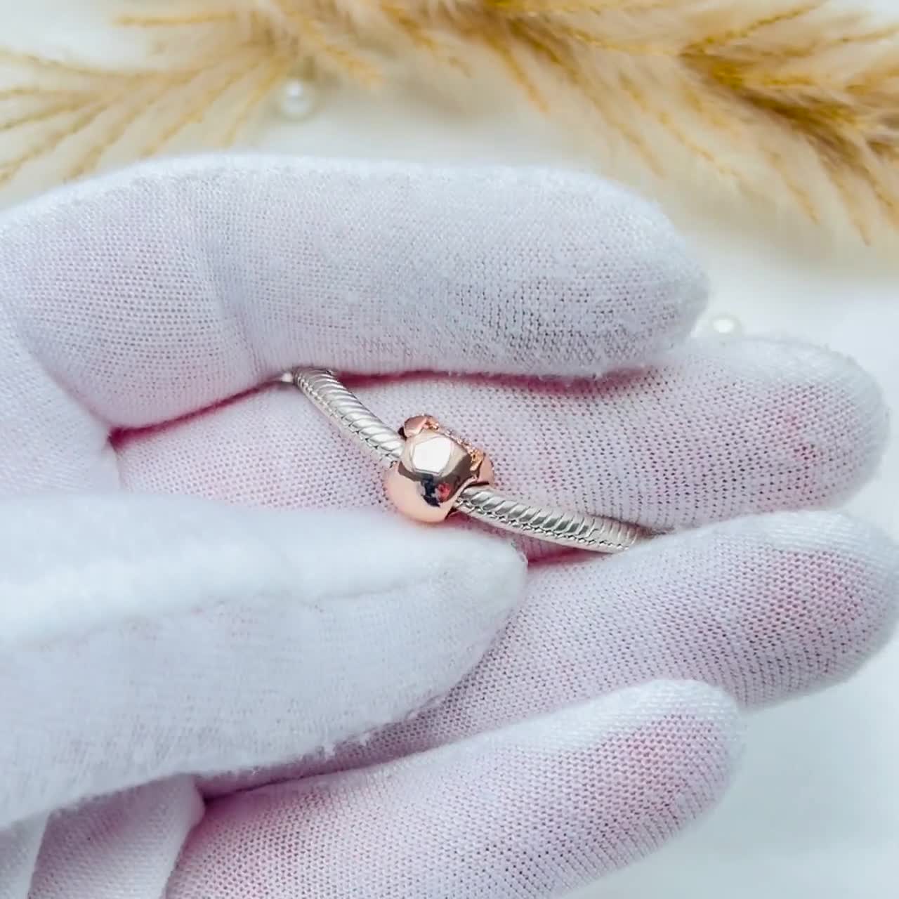 Compatible Beads For Charm Bracelets. Bling Jewelry