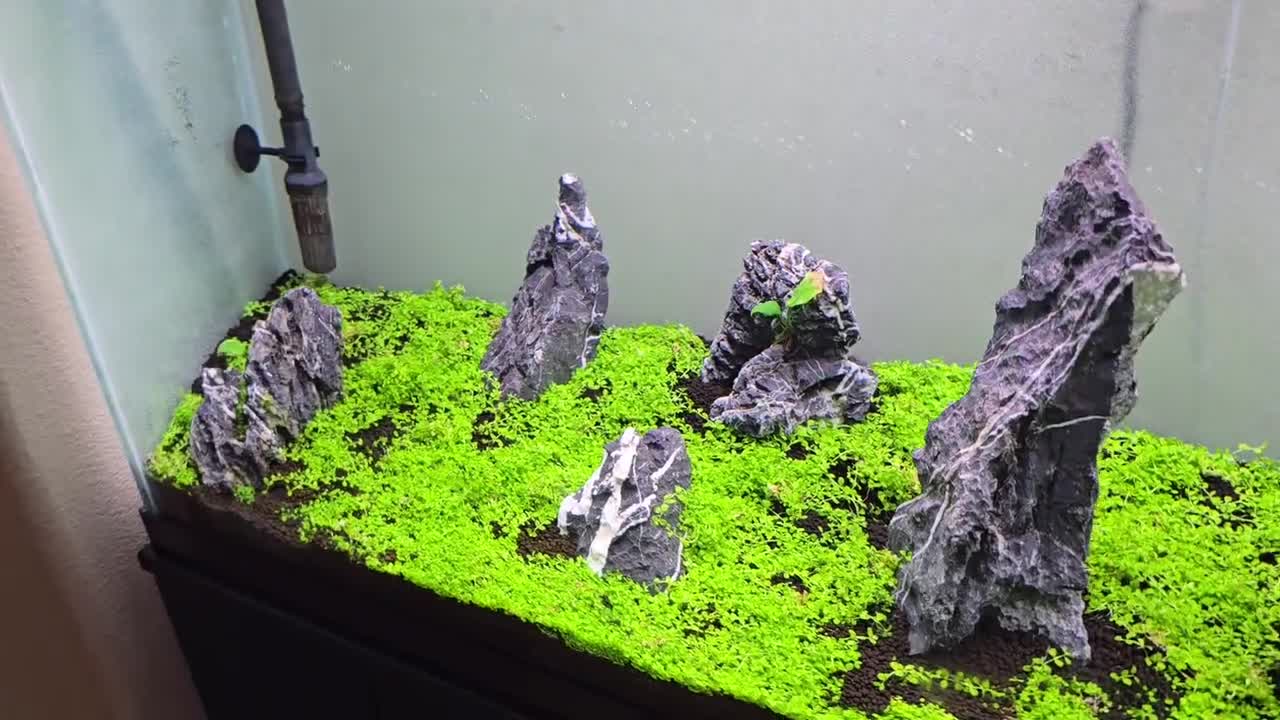 ARKA mySCAPE-Rocks Seiryu - 10-30 cm / 10 kg Mix - Mini-Landschaft - Natur Aquarium Steine für