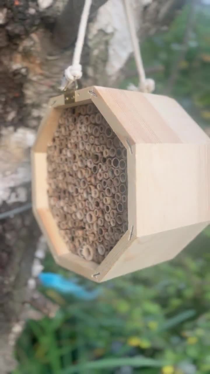 Grande allevamento di api in legno Alveare in bambù naturale/Riparo per api  Impollinatori, Regalo ecologico sostenibile Decorazione da giardino/Hotel  per api -  Italia