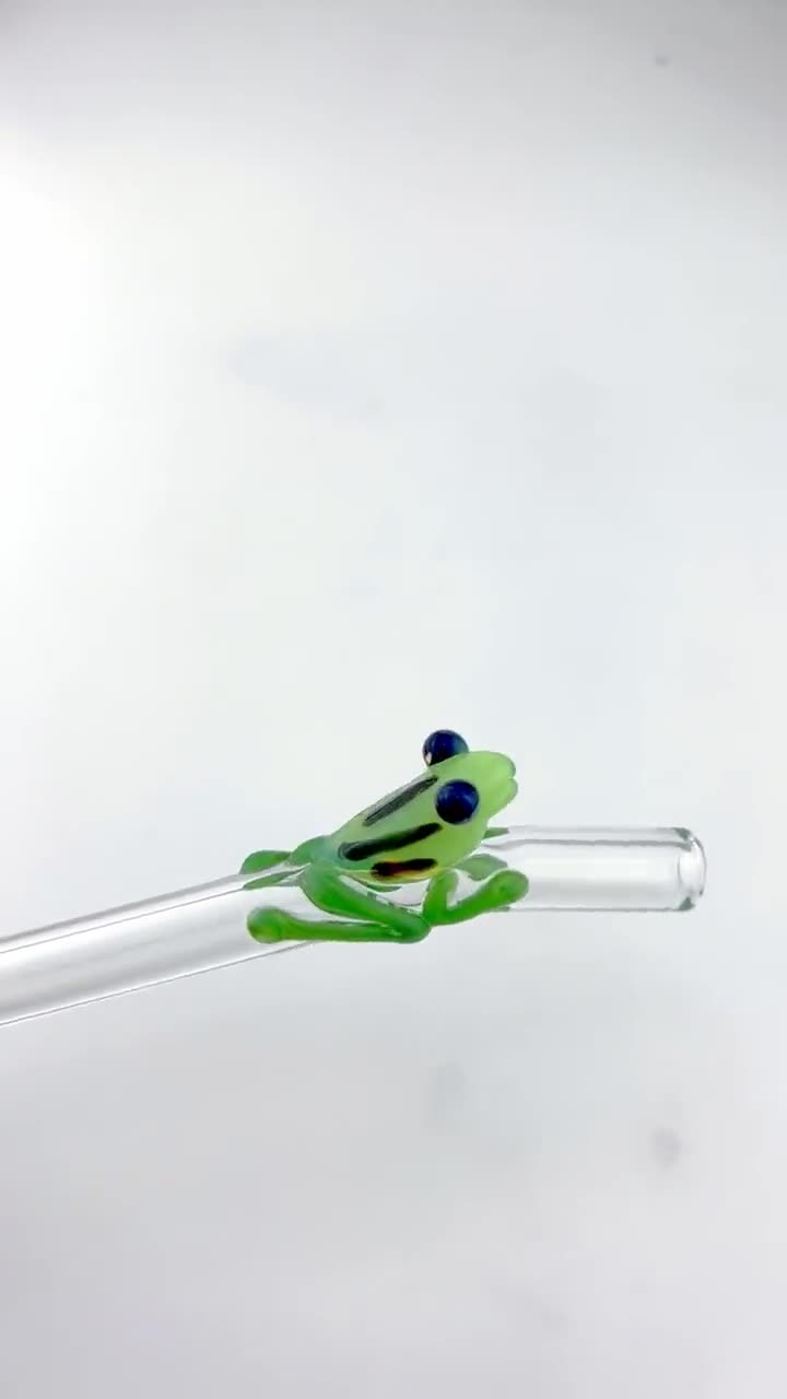 FROG GLASS STRAW Reusable Straws Glass Straws Glass Drinking Straw Frog Straws  Boba Straws Smoothie Straws Thin Straws 