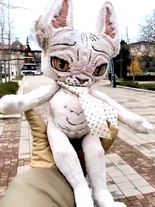 毛のない猫のぬいぐるみ、スフィンクスアートドール - Etsy 日本