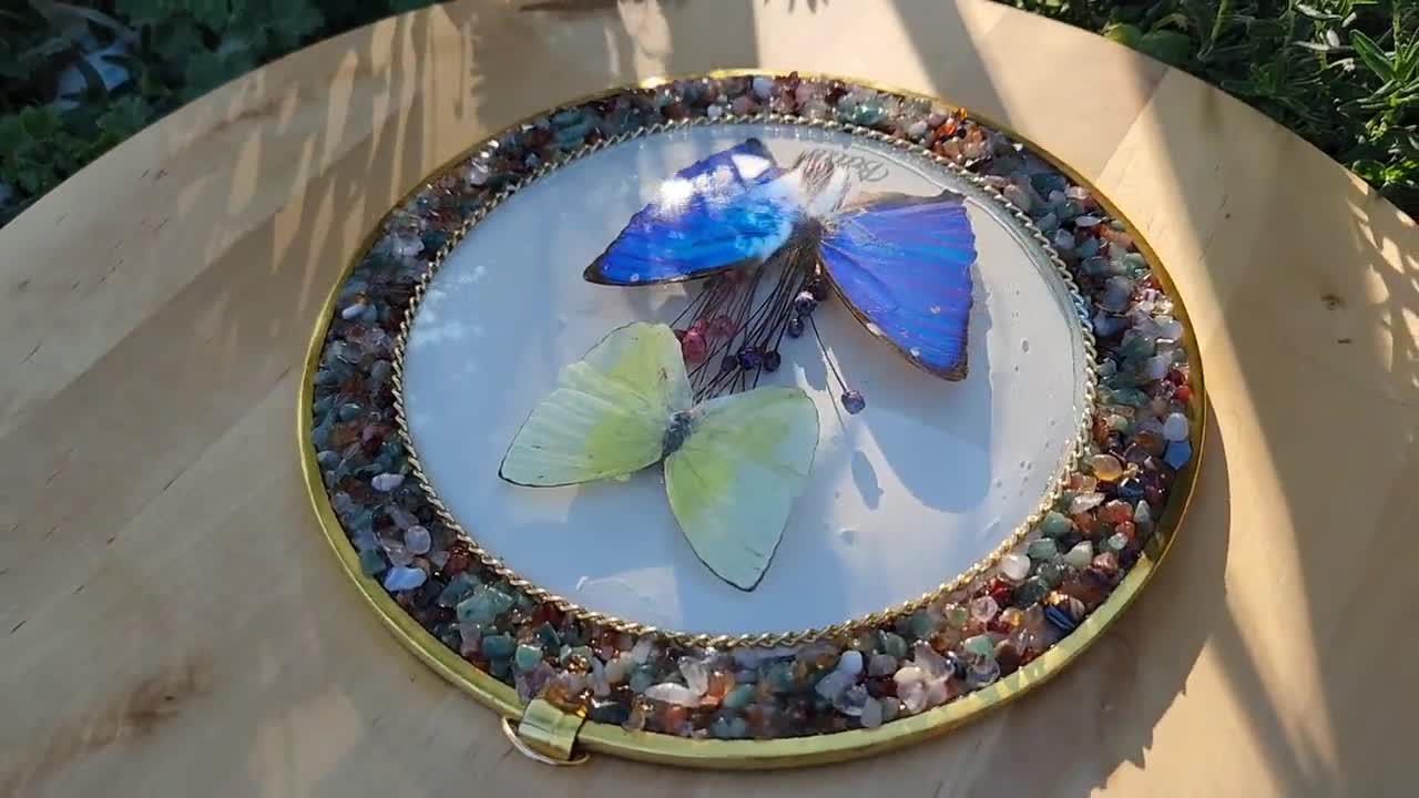 Willikiva - Anillo En D Con Tornillo De Cierre, Repuesto Para