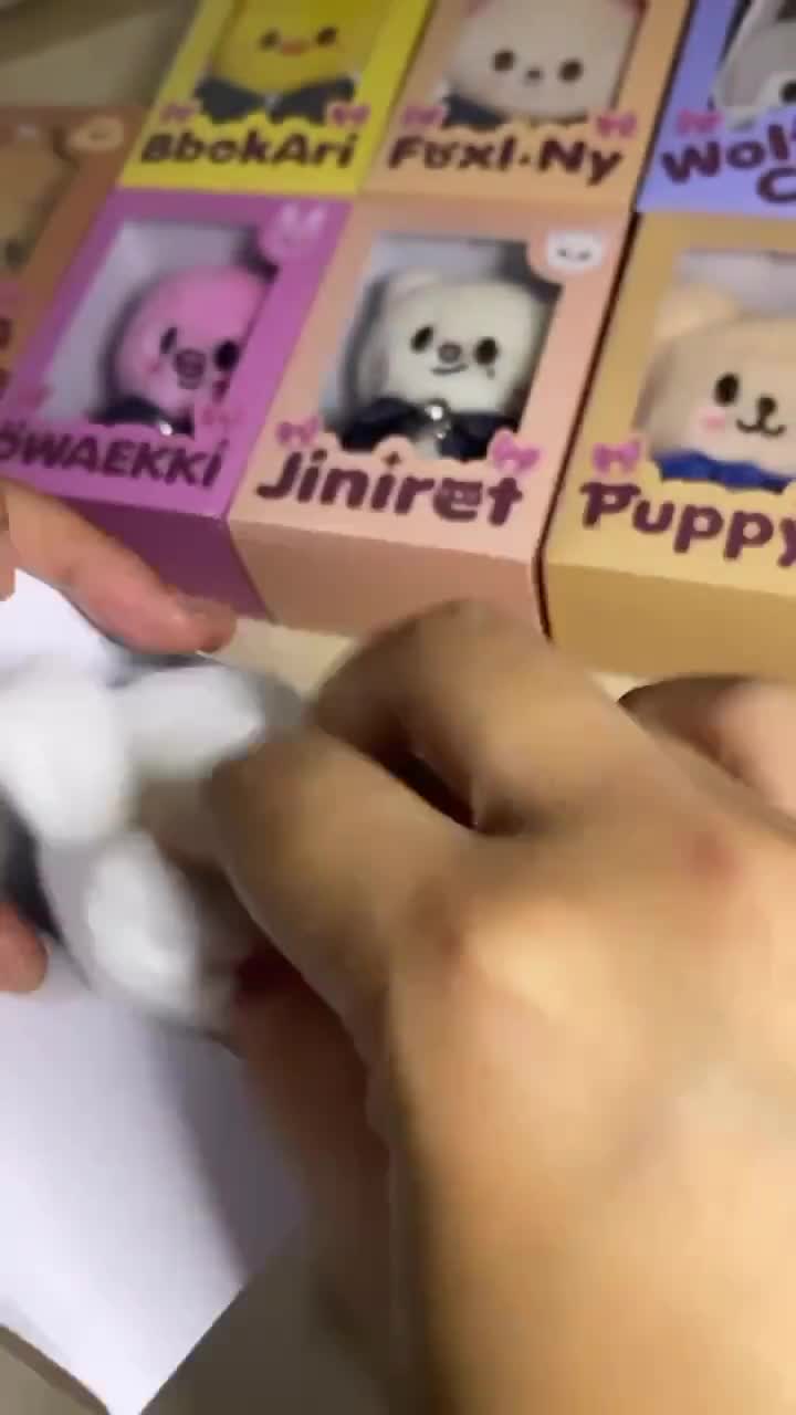 箱のみ。 Stray Kids SKZOO 10cm ぬいぐるみ Fanmade BOX [BOX