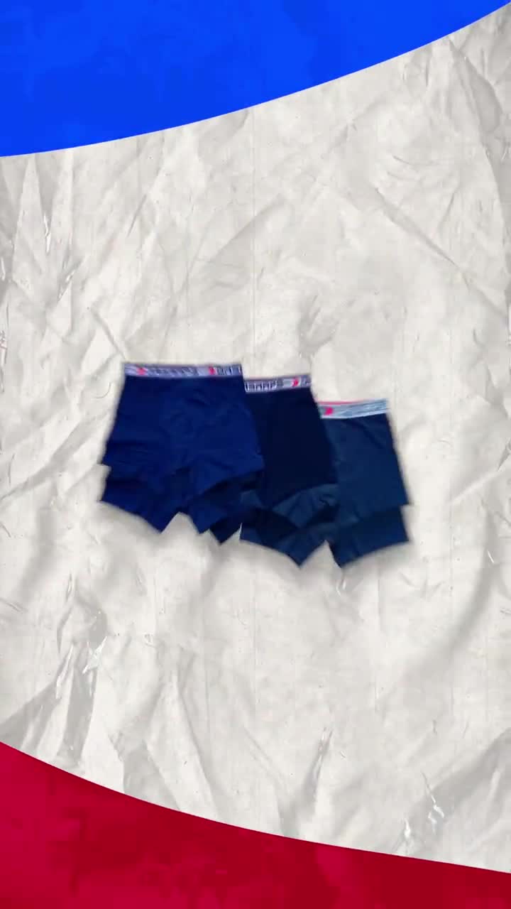 Men's Brief Underwear 100% Cotton 