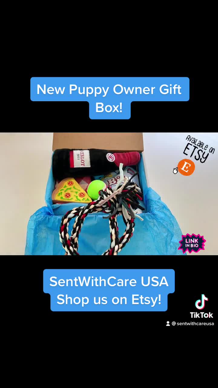 New Puppy Gift Ideas – 6 Things a New Puppy Owner Needs - Avenue Dogs