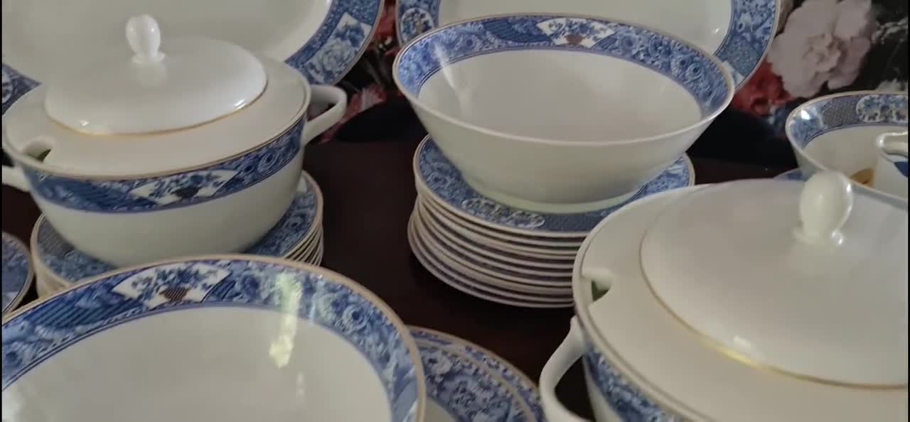 Rare Hutschenreuther Concorde Blue & White Bone China Chinoiserie