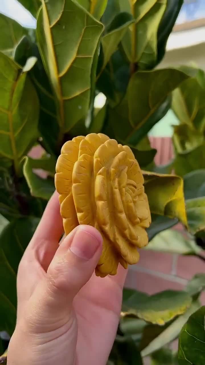 Yellow Jasper Flower Crystal Carving (1lb) - Etsy
