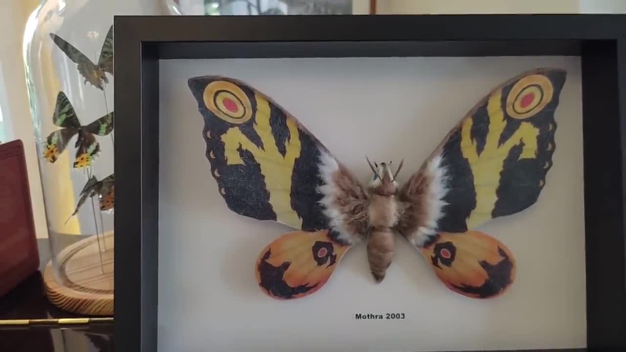 絵画 Moth Girl #003 Mothra, Signed 11 X 17 Color Print by Darryl Young - Etsy
