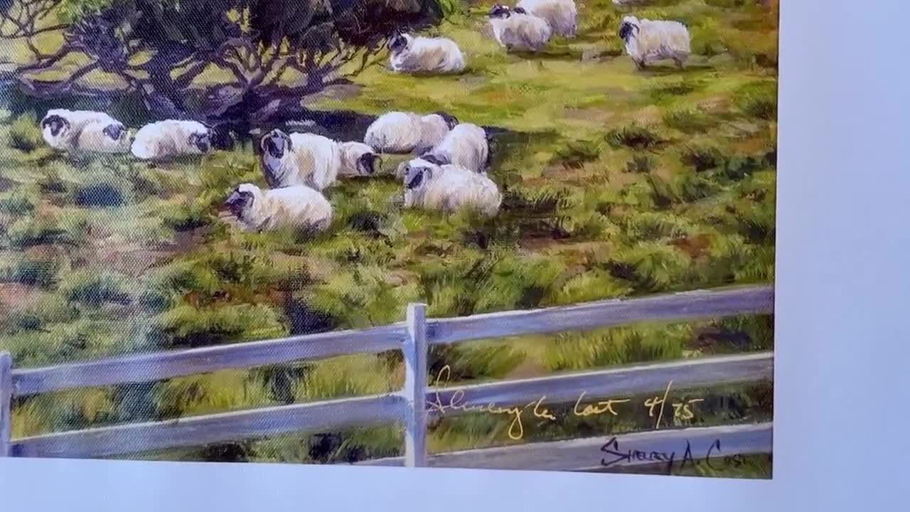Mission Ranch Sheep Giclee Print, Clint Eastwood's Carmel - Etsy