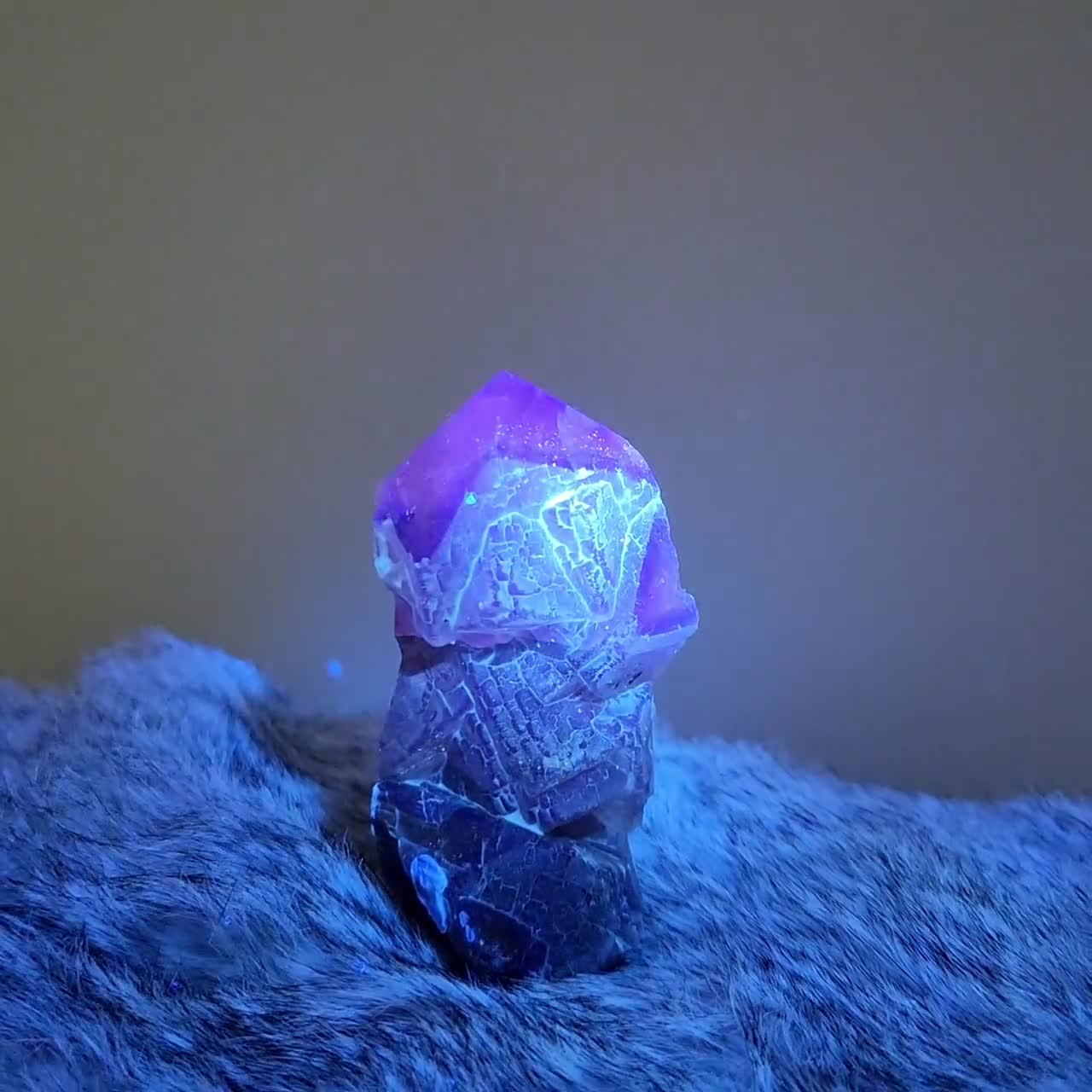 Black Rose Fluorite Point - 3