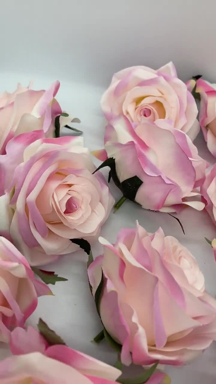 Organic Light Pink Roses on Stems Pink Dried Roses for DIY Arts Crafts  Resin Jewellery Cooking Gin Tonic Cake Decor LIMITED QUANTITY -  Norway