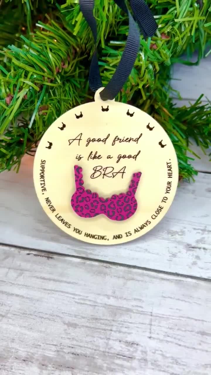 Funny Christmas Bra Ornament for Best Friend, Co-worker, Sister, A Good  Friend is Like a Good Bra, Funny Secret Santa Gift, Gift Exchange -   Canada